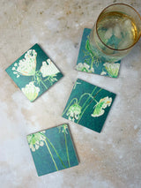 Coaster Set: Queen Anne's Lace on Teal