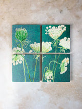 Coaster Set: Queen Anne's Lace on Teal