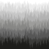 Woods Wallpaper