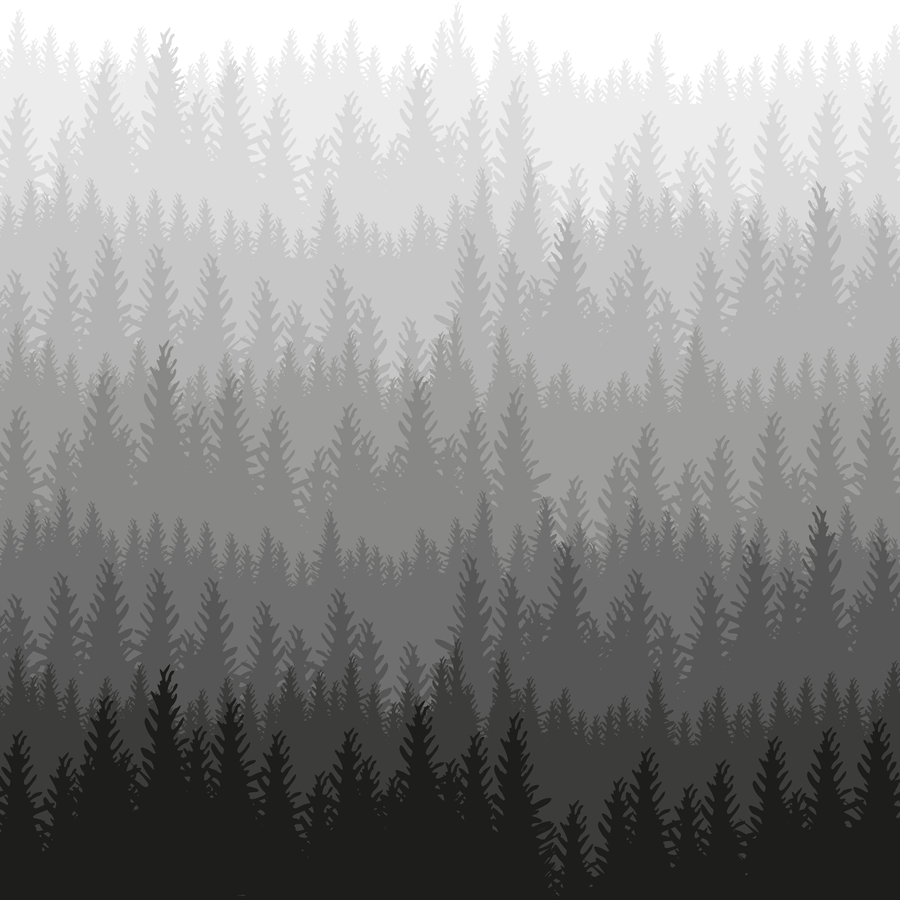 Woods Wallpaper