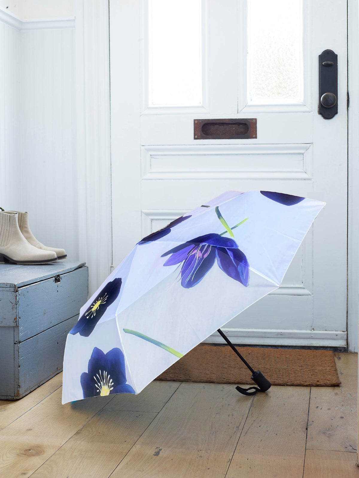 Umbrella:  Black Hellebore on Snow